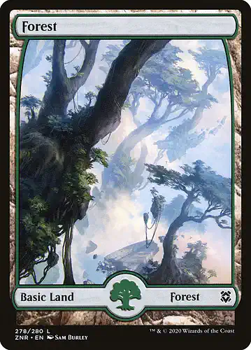 Forest - znr Spoiler