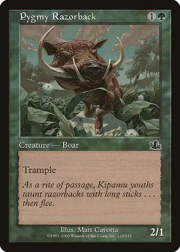 Pygmy Razorback - pcy Spoiler