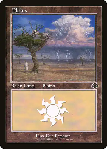 Plains - dmr Spoiler