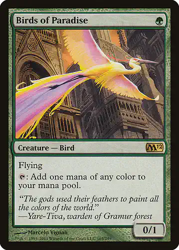 Birds of Paradise - m12 Spoiler