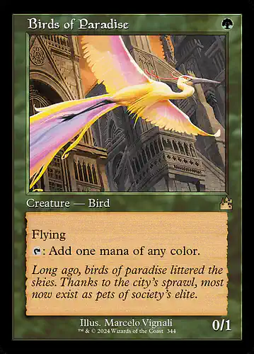 Birds of Paradise - rvr Spoiler