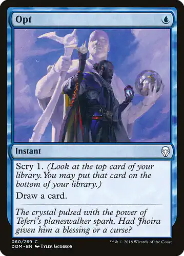 Opt - dom Spoiler