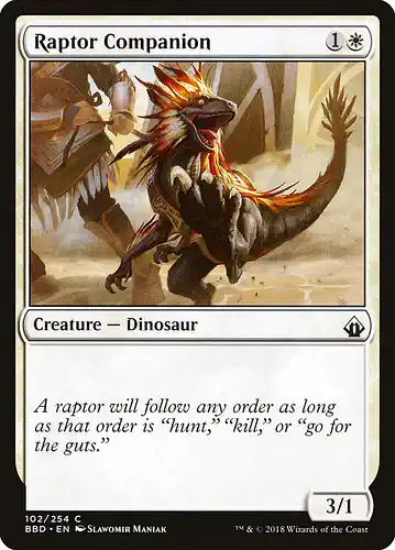Raptor Companion - bbd Spoiler