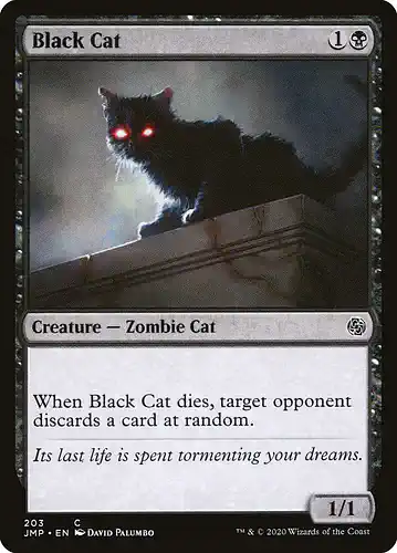 Black Cat - jmp Spoiler