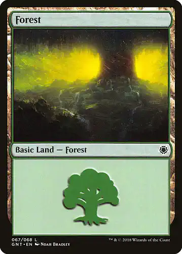 Forest - gnt Spoiler