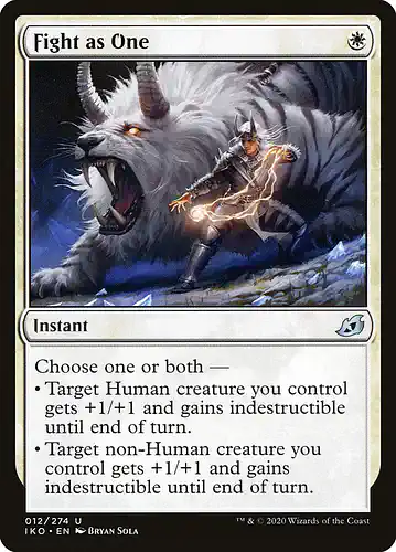Fight as One - iko Spoiler