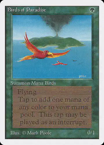 Birds of Paradise - 2ed Spoiler