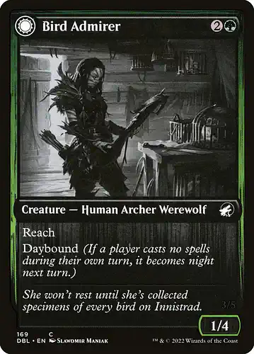 Bird Admirer - dbl Spoiler