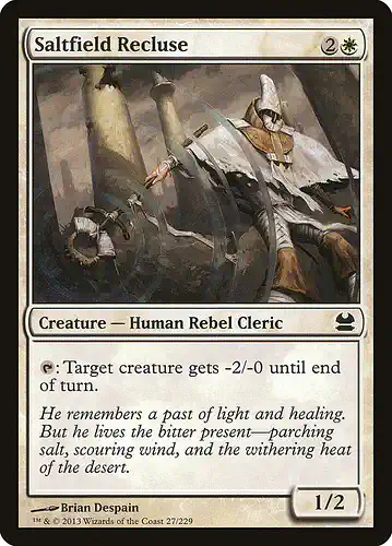 Saltfield Recluse - mma Spoiler