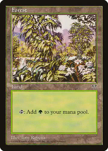 Forest - mir Spoiler