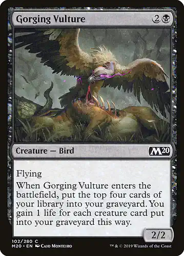 Gorging Vulture - m20 Spoiler