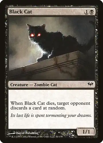 Black Cat - dka Spoiler