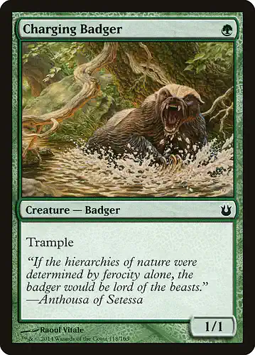 Charging Badger - bng Spoiler