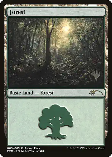 Forest - m20 Spoiler