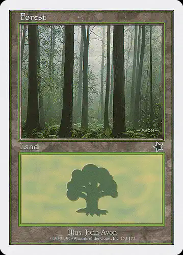 Forest - s99 Spoiler