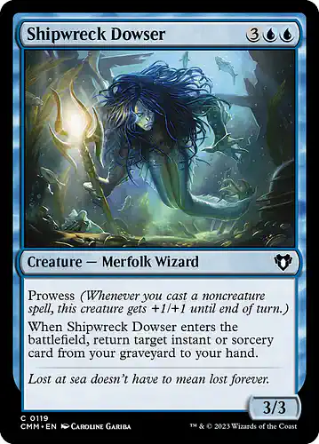 Shipwreck Dowser - cmm Spoiler