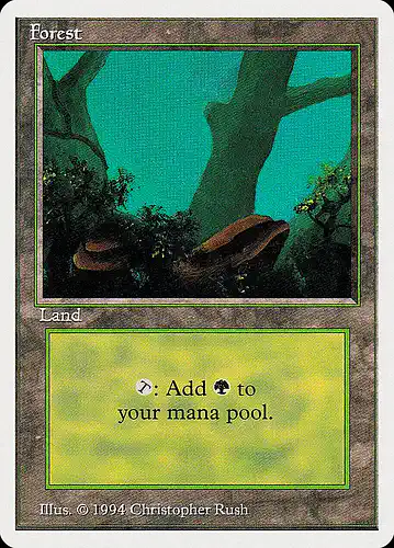 Forest - sum Spoiler