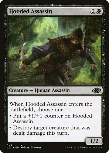 Hooded Assassin - j22 Spoiler