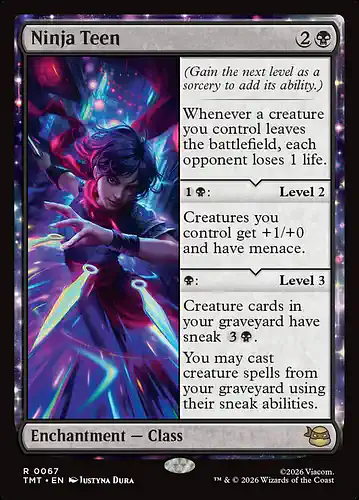 Ninja Teen - tmt Spoiler