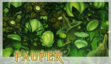  Pauper Deck Analisi | BG Gardens (Nero Giardini)