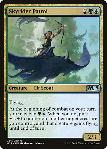 Skyrider Patrol - m19 Spoiler