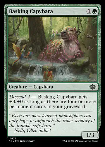Basking Capybara - lci Spoiler