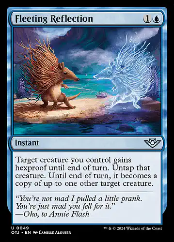 Fleeting Reflection - otj Spoiler