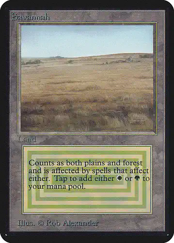 Savannah - lea Spoiler