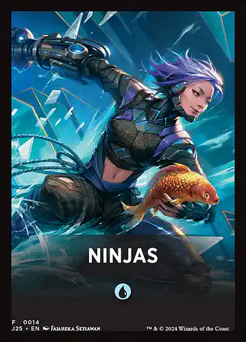 Ninjas - j25 Spoiler