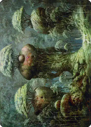 Forest - dmu Spoiler