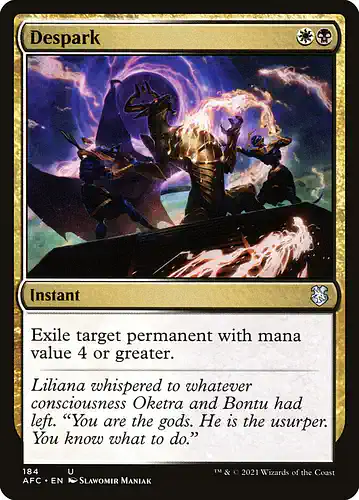 Despark - afc Spoiler