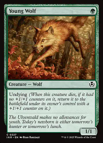 Young Wolf - inr Spoiler