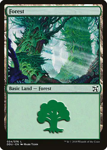Forest - ddu Spoiler