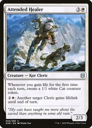 Attended Healer - znr Spoiler