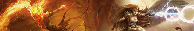 boros banner