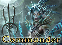 commander beginners intro