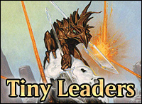 tiny leaders best cards