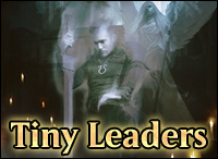 tiny leaders intro