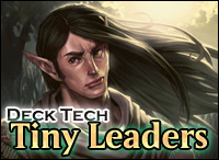 tiny leadres deck tech elves2