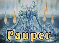 pauper zubera