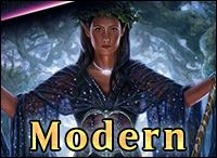 modern budget_elves