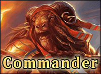 video commander_2