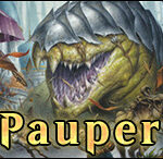 convocke-pauper