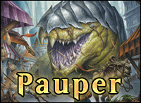 convocke-pauper