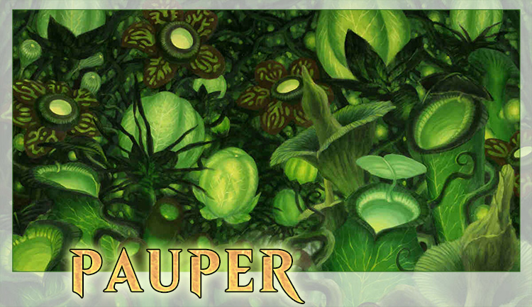 bg gardends_pauper